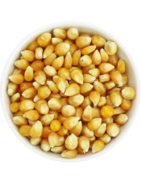 POPCORN (ZIARNO KUKURYDZY) BIO (SUROWIEC) (25 kg)