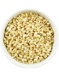 RYŻ BRĄZOWY OKRĄGŁY BIO (SUROWIEC) (20 kg)