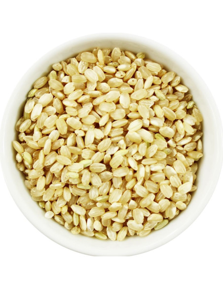 RYŻ BRĄZOWY OKRĄGŁY BIO (SUROWIEC) (20 kg)