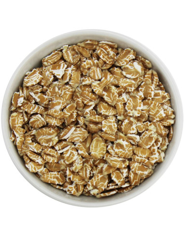 PŁATKI ORKISZOWE BIO (SUROWIEC) (25 kg)