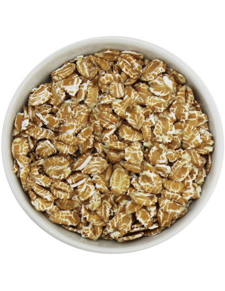 PŁATKI ORKISZOWE BIO (SUROWIEC) (25 kg)