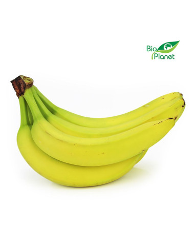 OPAKOWANIE ZBIORCZE (kg) - BANANY ŚWIEŻE BIO (około 18 kg)