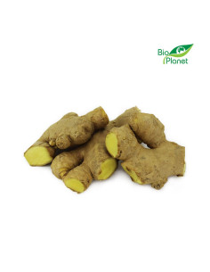 OPAKOWANIE ZBIORCZE (kg) - IMBIR ŚWIEŻY BIO (około 3 kg) 2