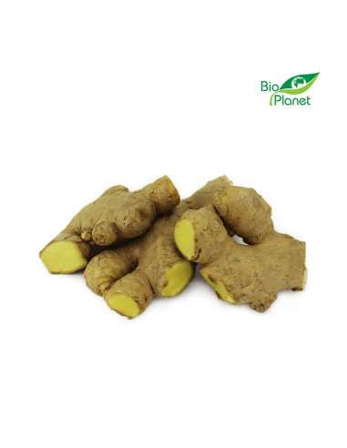 OPAKOWANIE ZBIORCZE (kg) - IMBIR ŚWIEŻY BIO (około 5 kg)