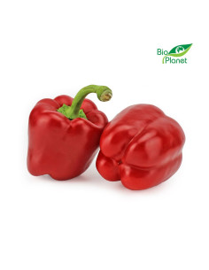 OPAKOWANIE ZBIORCZE (kg) - PAPRYKA CZERWONA ŚWIEŻA BIO (około 5 kg) 2