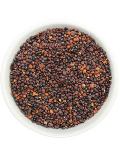 QUINOA CZARNA (KOMOSA RYŻOWA) BIO (SUROWIEC) (25 kg)