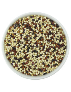 QUINOA TRÓJKOLOROWA BIO (SUROWIEC) (25 kg)