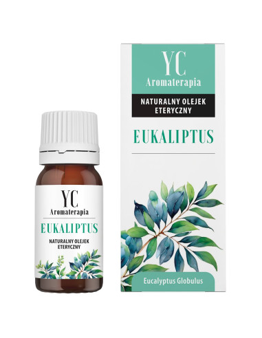 OLEJEK ETERYCZNY EUKALIPTUS 10 ml - YOUR CANDLE