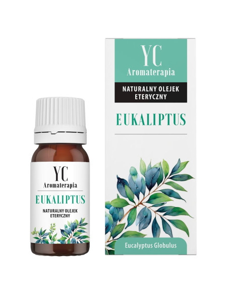 OLEJEK ETERYCZNY EUKALIPTUS 10 ml - YOUR CANDLE