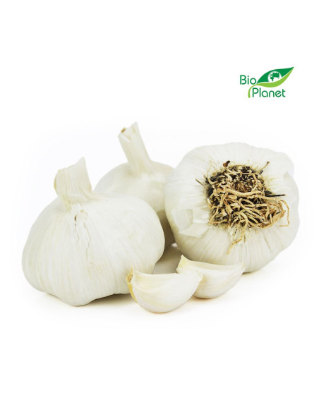 OPAKOWANIE ZBIORCZE (kg) - CZOSNEK ŚWIEŻY BIO (około 10 kg)