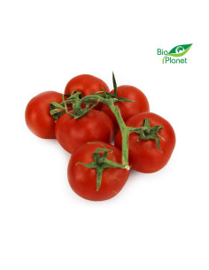 POMIDORY NA GAŁĄZCE ŚWIEŻE BIO (około 0,45 kg) 2