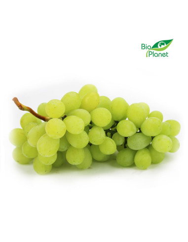 WINOGRONA BIAŁE ŚWIEŻE BIO (około 0,50 kg)