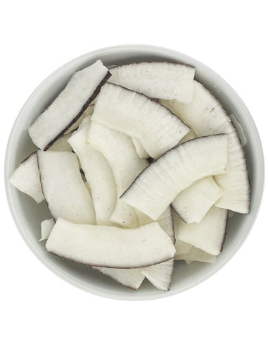 PLASTRY KOKOSOWE BIO (SUROWIEC) (10 kg)