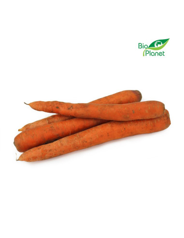 MARCHEW ŚWIEŻA NIEMYTA BIO (POLSKA) (około 1,00 kg)