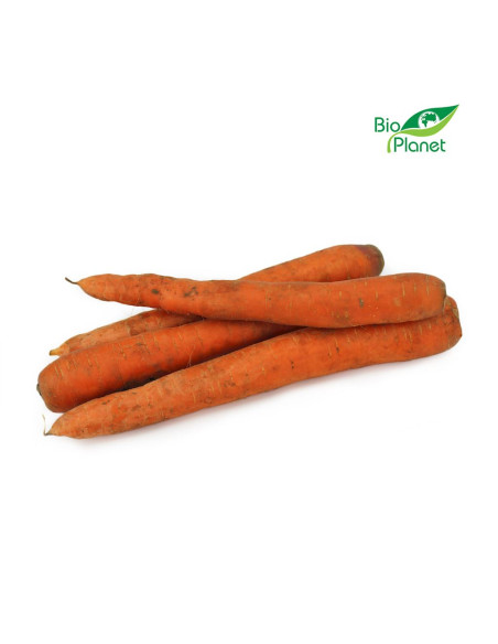 OPAKOWANIE ZBIORCZE (kg) - MARCHEW ŚWIEŻA NIEMYTA BIO (POLSKA) (około 5 kg)