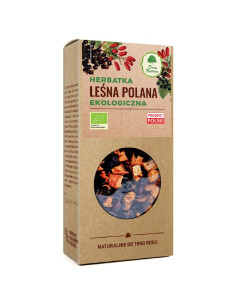 HERBATKA LEŚNA POLANA BIO 100 g - DARY NATURY
