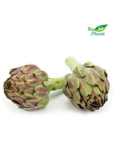 KARCZOCH ŚWIEŻY BIO (około 0,15 kg) 2