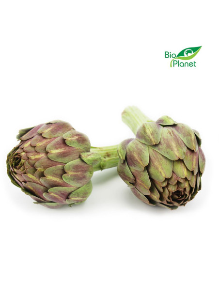 KARCZOCH ŚWIEŻY BIO (około 0,30 kg)