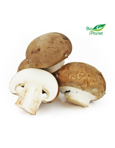 OPAKOWANIE ZBIORCZE (kg) - PIECZARKI BRĄZOWE ŚWIEŻE BIO (POLSKA) (około 3 kg)