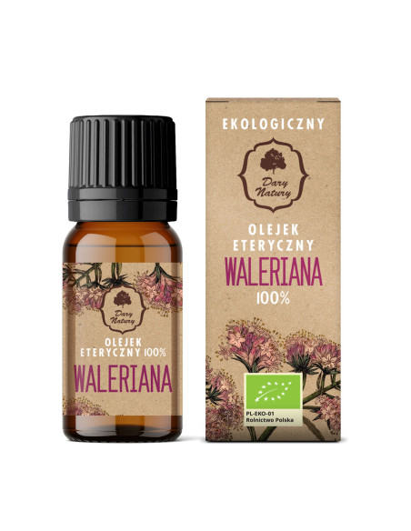 OLEJEK ETERYCZNY WALERIANA BIO 10 ml - DARY NATURY