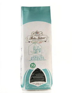 MAKARON (RYŻOWY RAZOWY ZE SPIRULINĄ) PENNE BEZGLUTENOWY BIO 250 g - PASTA NATURA