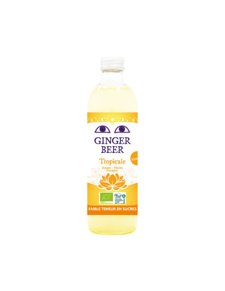 PIWO IMBIROWE O SMAKU OWOCÓW TROPIKALNYCH BEZALKOHOLOWE FAIR FOR LIFE BIO 750 ml - KARMA