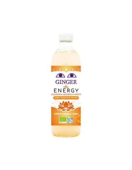 PIWO IMBIROWE ENERGY BEZALKOHOLOWE FAIR FOR LIFE BIO 350 ml - KARMA