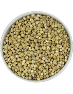 SORGO (ZIARNO OBŁUSZCZONE) BIO (SUROWIEC) (25 kg)