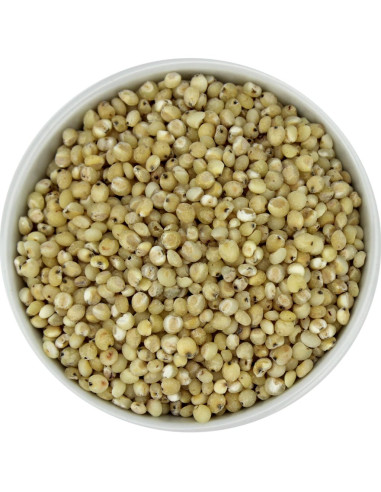 SORGO (ZIARNO OBŁUSZCZONE) BIO (SUROWIEC) (25 kg)