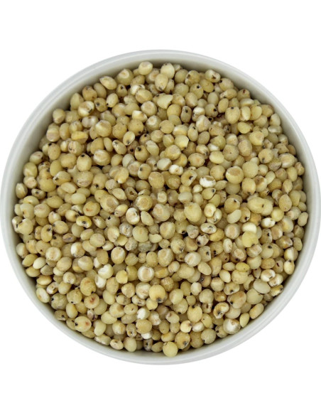 SORGO (ZIARNO OBŁUSZCZONE) BIO (SUROWIEC) (25 kg)