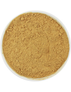 KAROB NIEPRAŻONY SPROSZKOWANY BIO (SUROWIEC) (20 kg)