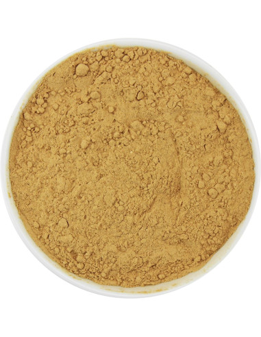 KAROB NIEPRAŻONY SPROSZKOWANY BIO (SUROWIEC) (20 kg)