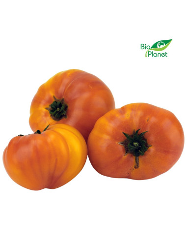 POMIDORY ANANASOWE ŚWIEŻE BIO (POLSKA) (około 0,60 kg)