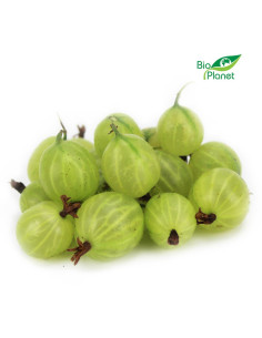 AGREST ŚWIEŻY BIO (POLSKA) (około 0,20 kg)