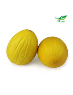 MELON ŚWIEŻY BIO (około 1,50 kg)