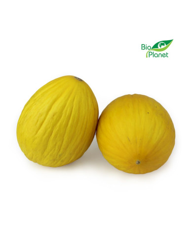 MELON ŚWIEŻY BIO (około 1,50 kg)