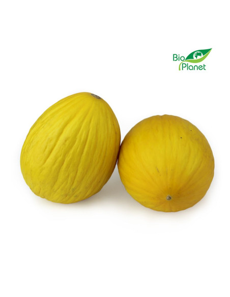 MELON ŚWIEŻY BIO (około 1,50 kg)