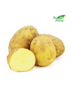 ZIEMNIAKI ŻÓŁTE MŁODE ŚWIEŻE BIO (POLSKA) (około 2,00 kg)