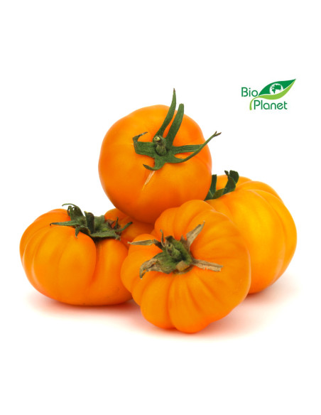 POMIDORY ŻÓŁTE ŚWIEŻE BIO (POLSKA) (około 0,60 kg)