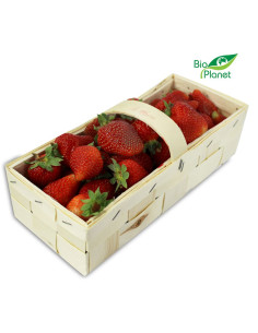 TRUSKAWKA ŚWIEŻA BIO (POLSKA) (opakowanie około 2,00 kg)