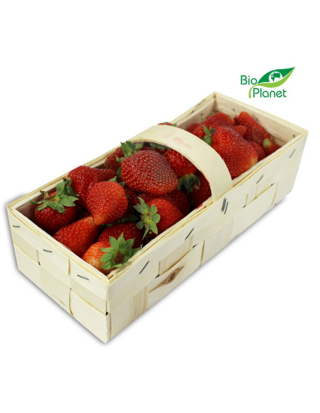 TRUSKAWKA ŚWIEŻA BIO (POLSKA) (opakowanie około 2,00 kg)