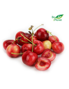 OPAKOWANIE ZBIORCZE (kg) - CZEREŚNIA ŚWIEŻA BIO (POLSKA) (około 2 kg)