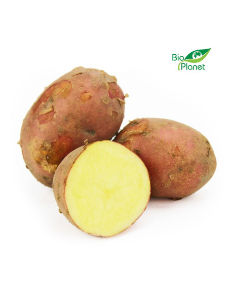 ZIEMNIAKI CZERWONE MŁODE ŚWIEŻE BIO (POLSKA) (około 2,00 kg)