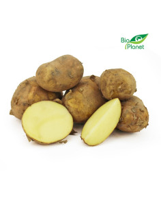 ZIEMNIAKI BIAŁE MŁODE ŚWIEŻE BIO (POLSKA) (około 2,00 kg)