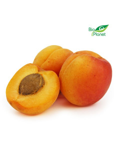 MORELE ŚWIEŻE BIO (około 0,50 kg)
