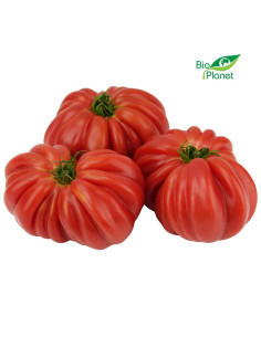 POMIDORY BAWOLE SERCE ŚWIEŻE BIO (POLSKA) (około 0,60 kg)