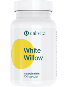 White Willow  - 100kaps - Calivita