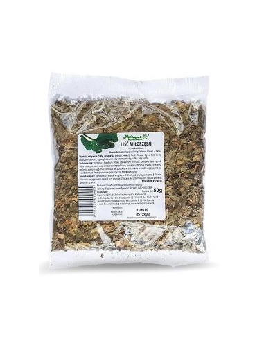 Miłorząb liść - 50g - Herbapol Kraków
