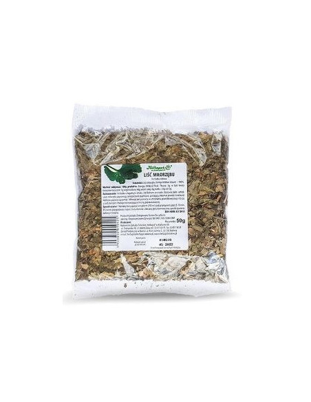 Miłorząb liść - 50g - Herbapol Kraków