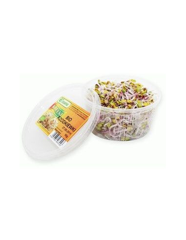 Kiełki rzodkiewki - 50g - Chełmiński
